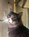 bristalll Altpins Profile Picture