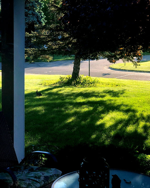 bristalll instagram image archive image