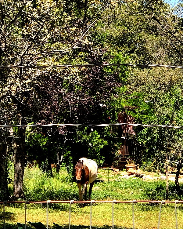 bristalll instagram image archive image