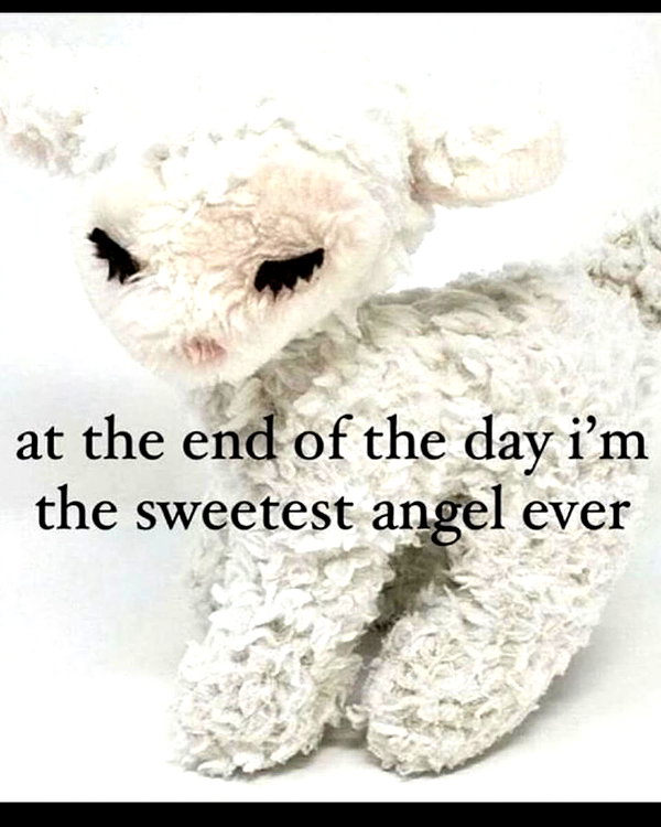 bugluvrr instagram image archive image