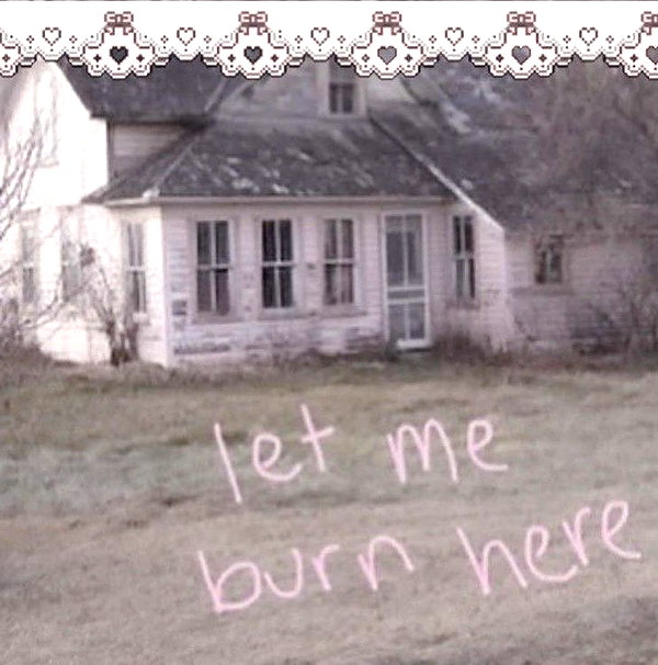 bugluvrr instagram image archive image