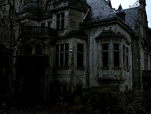 bugluvrr instagram image archive image