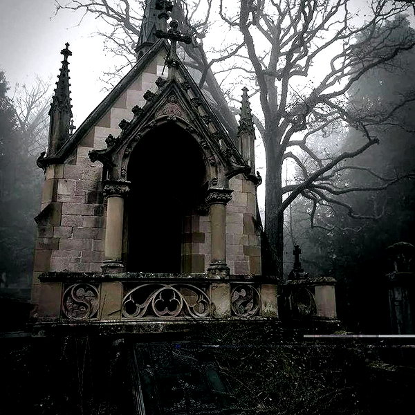 bugluvrr instagram image archive image