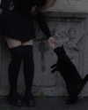 bunny_alina_kim Altpins Profile Picture