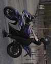 bunny_alina_kim Altpins Profile Picture