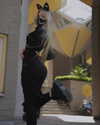 bunny_alina_kim Altpins Profile Picture