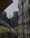 bunny_alina_kim Altpins Profile Picture