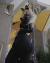 bunny_alina_kim Altpins Profile Picture