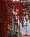 bunny_alina_kim Altpins Profile Picture