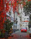 bunny_alina_kim Altpins Profile Picture