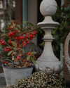 bunny_alina_kim Altpins Profile Picture