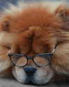 bunny_alina_kim Altpins Profile Picture
