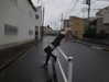bunny_alina_kim Altpins Profile Picture