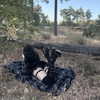 butter.on.a.poptart69 Altpins Profile Picture