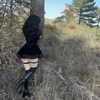 butter.on.a.poptart69 Altpins Profile Picture