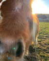 callieebullough Altpins Profile Picture