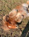 callieebullough Altpins Profile Picture