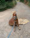 callieebullough Altpins Profile Picture