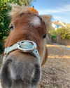 callieebullough Altpins Profile Picture