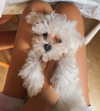 carla.famulari Altpins Profile Picture