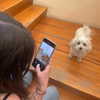 carla.famulari Altpins Profile Picture