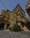 carla.famulari Altpins Profile Picture