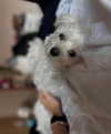 carla.famulari Altpins Profile Picture
