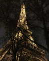 carmellevi Altpins Profile Picture