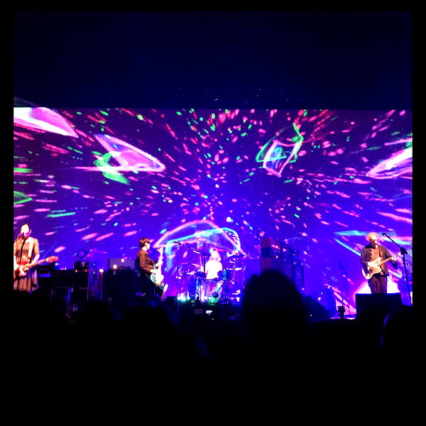 carolinesometimes instagram image archive image