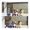 cat2_bat Altpins Profile Picture