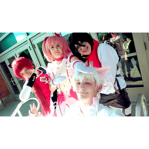 cat2_bat instagram image archive image