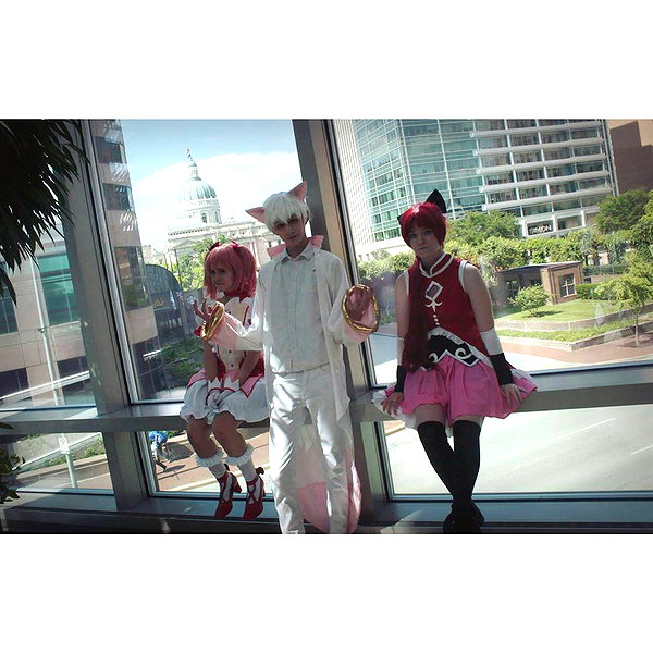 cat2_bat instagram image archive image