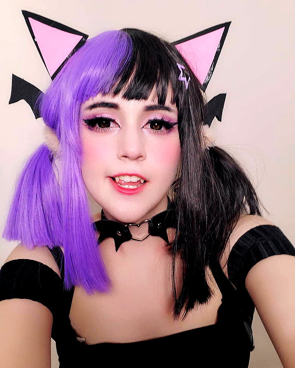 cat2_bat instagram image archive image