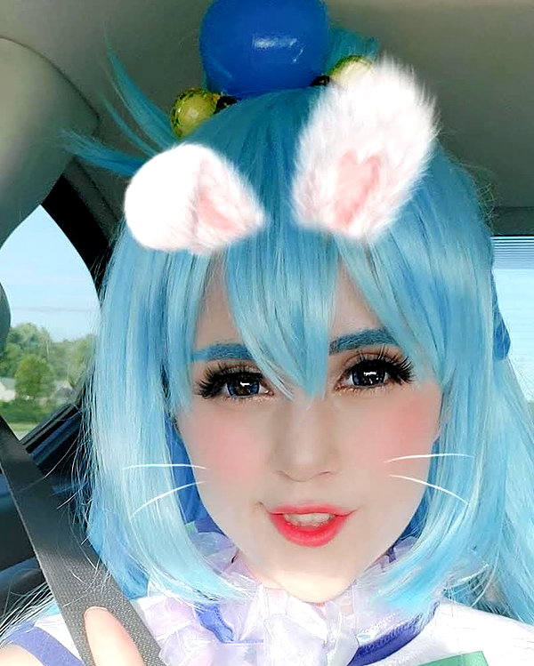 cat2_bat instagram image archive image