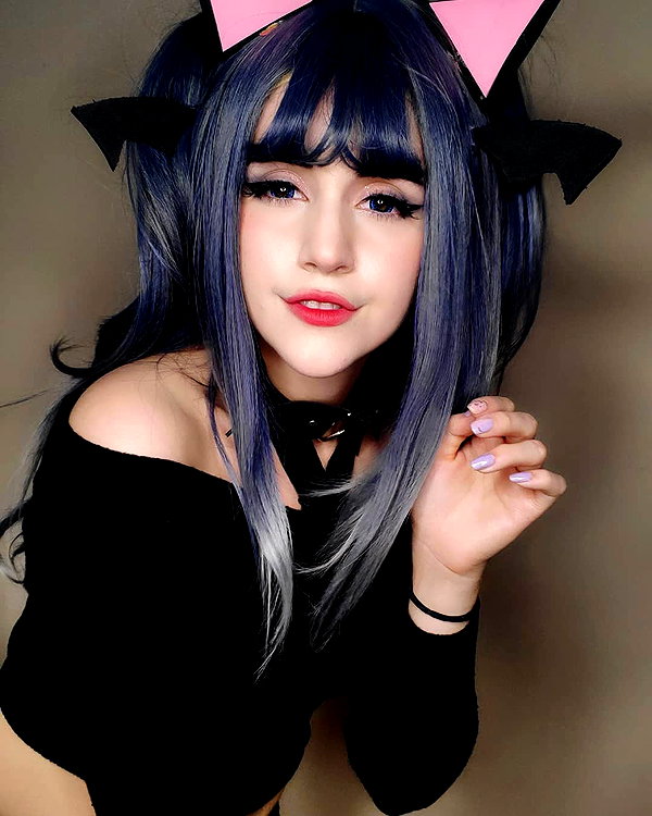 cat2_bat instagram image archive image