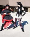 cat2_bat Altpins Profile Picture