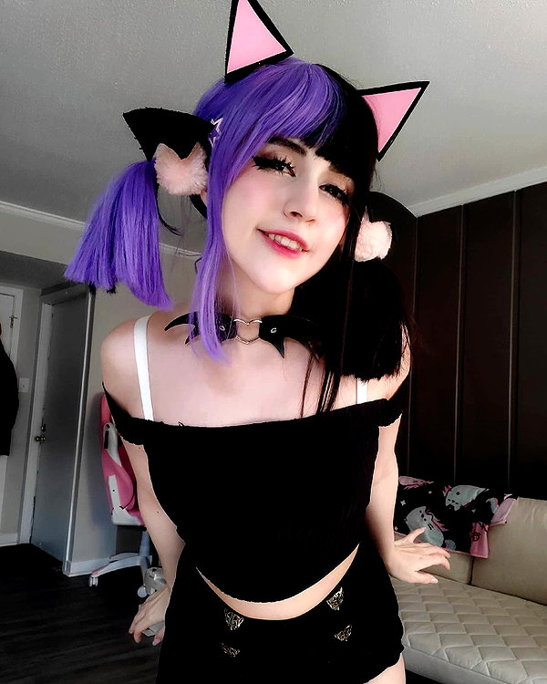 cat2_bat instagram image archive image