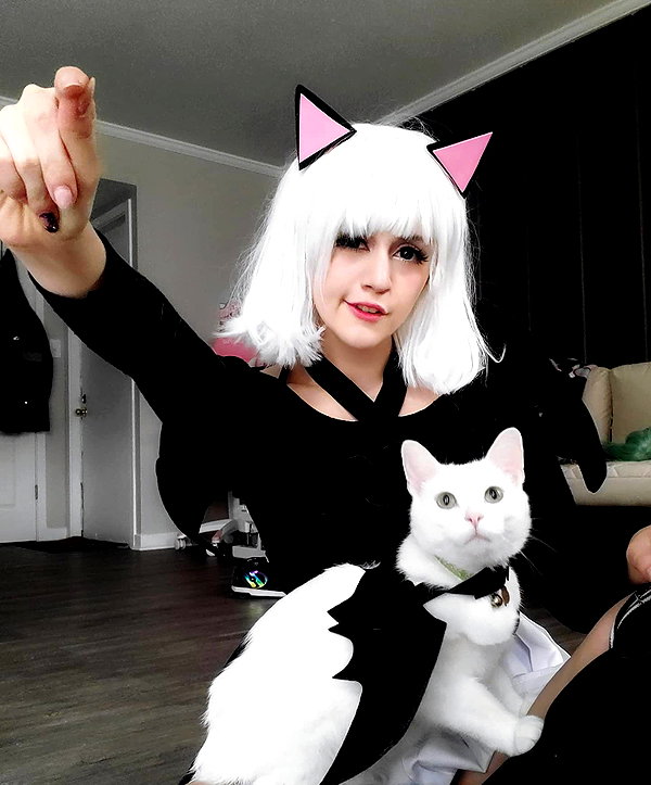 cat2_bat instagram image archive image