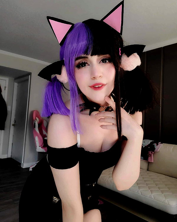 cat2_bat instagram image archive image