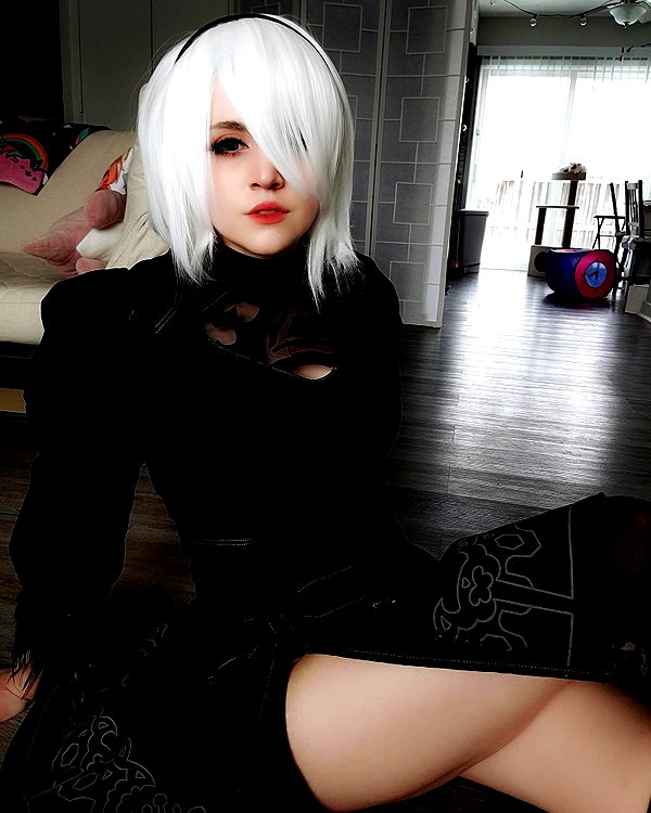 cat2_bat instagram image archive image