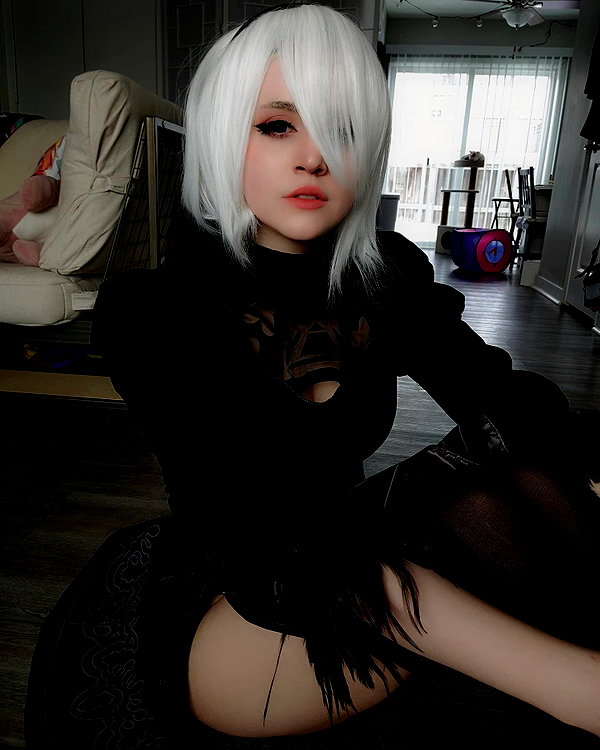 cat2_bat instagram image archive image