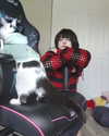 cat2_bat Altpins Profile Picture