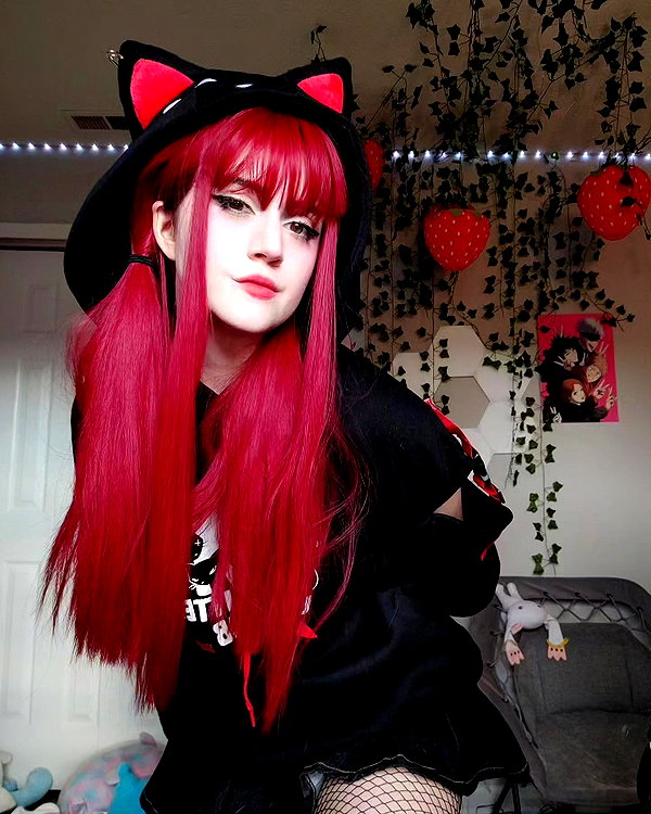 cat2_bat instagram image archive image