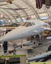 cat2_bat Altpins Profile Picture