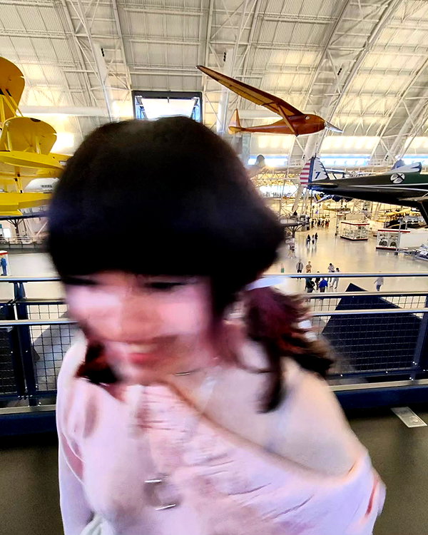 cat2_bat instagram image archive image