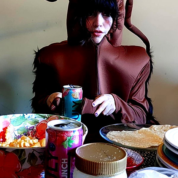 cat2_bat instagram image archive image