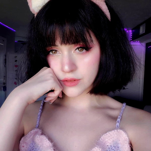 cat2_bat instagram image archive image