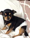 celamarr Altpins Profile Picture