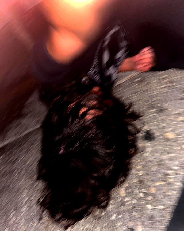 celecia instagram image archive image