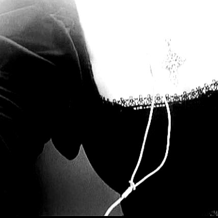 celecia instagram image archive image